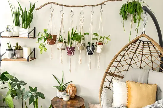 Beautiful hanging plant ideas displayed indoors and outdoors in decorative pots and baskets, showcasing creative ways to style greenery in 2025.